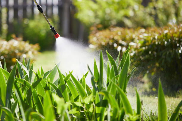 24/7 Emergency Mosquito Control experts in Washingtonville, NY