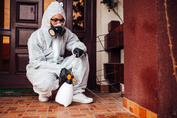 Reliable Mosquito Control contractor in Washingtonville, NY by Show Me Pest Control
