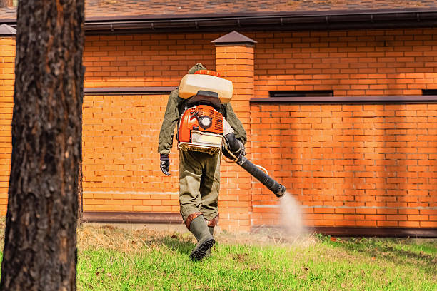 Top rated local Mosquito Control specialists in Washingtonville, NY